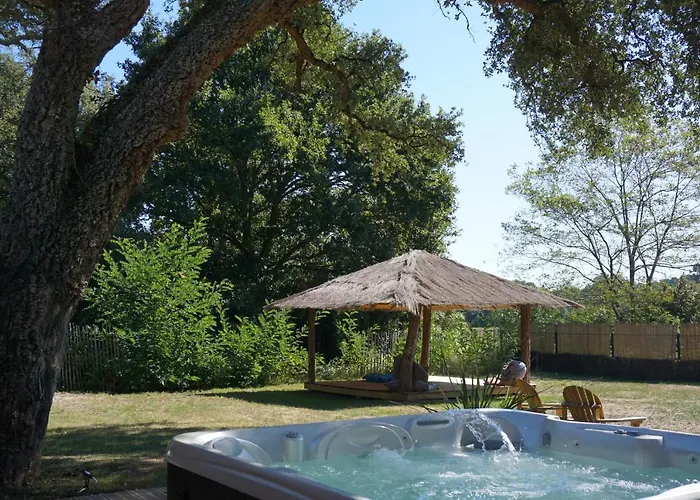 Nature Surf Camp 메상주