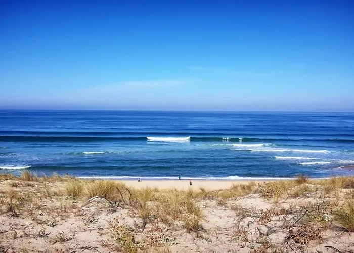 Nature Surf Camp 호스텔 메상주