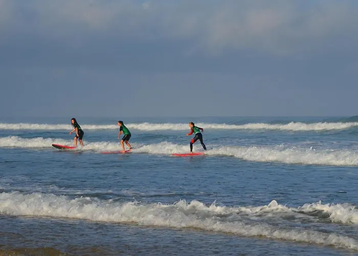 Nature Surf Camp 메상주