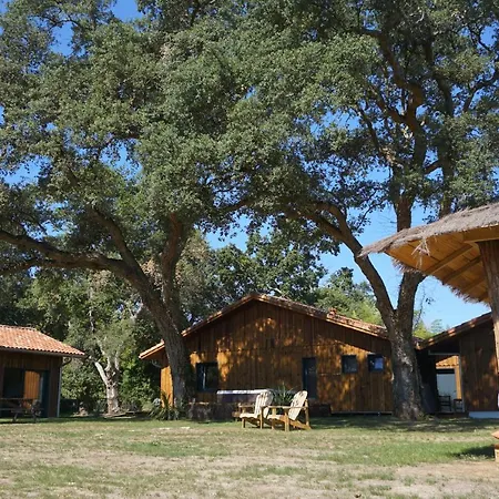 Hostel Nature Surf Camp Messanges (Landes)