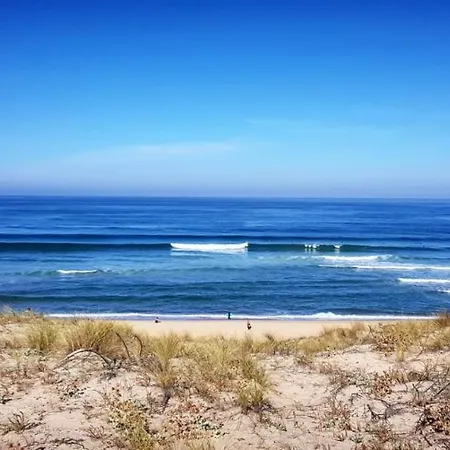 Nature Surf Camp Hostel Messanges (Landes)